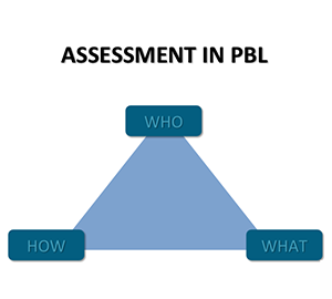 who, what, how, chart for assessing pal