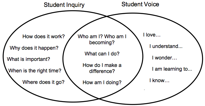 graphs of student inquiry and student voice overlapping