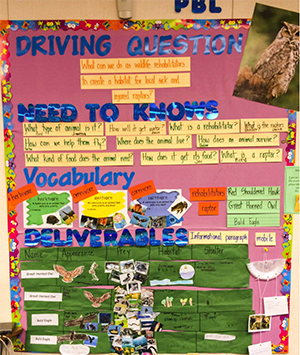classroom bulletin board with driving question